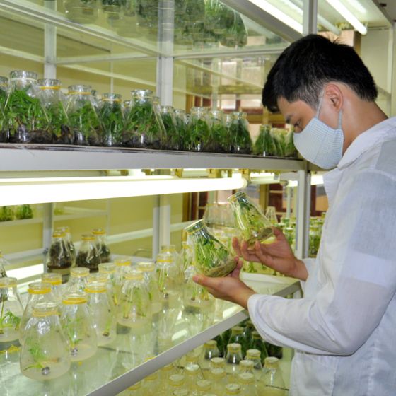 TRUNG TÂM NGHIÊN CỨU GIỐNG